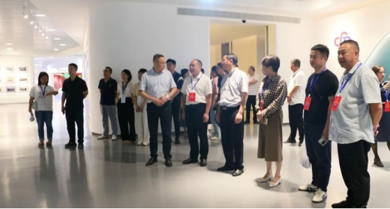 丽水市第五届人大代表景宁中心组调研威尼斯9499集团